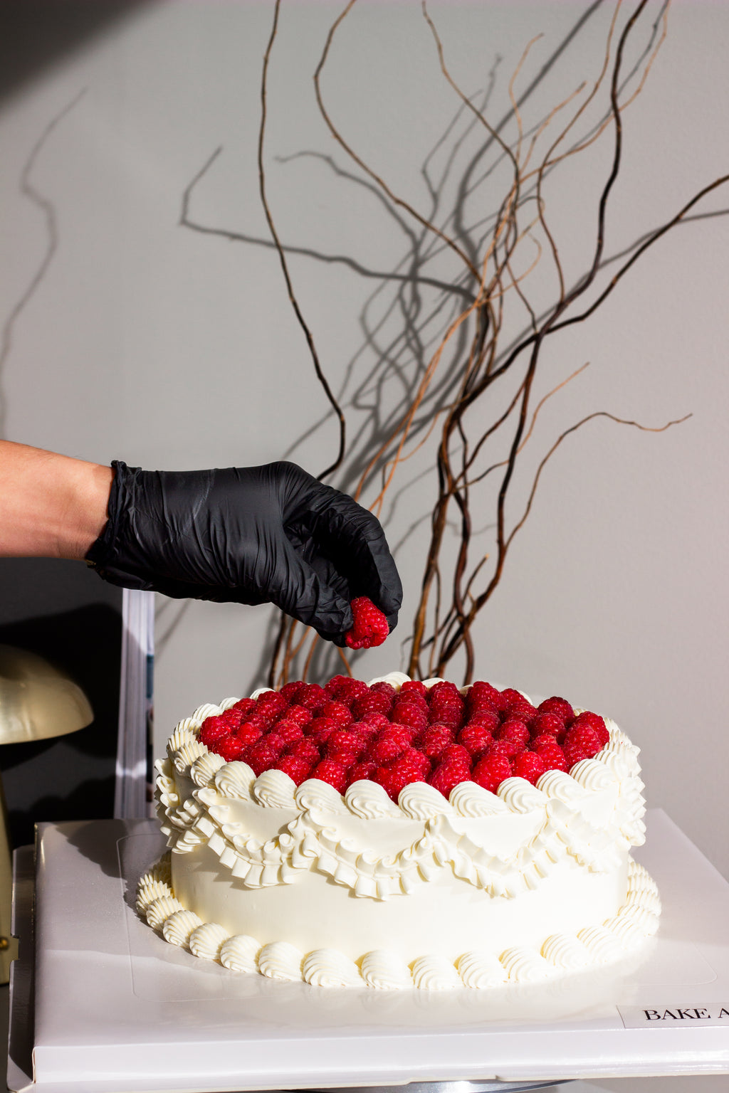 Italian Raspberry Cake
