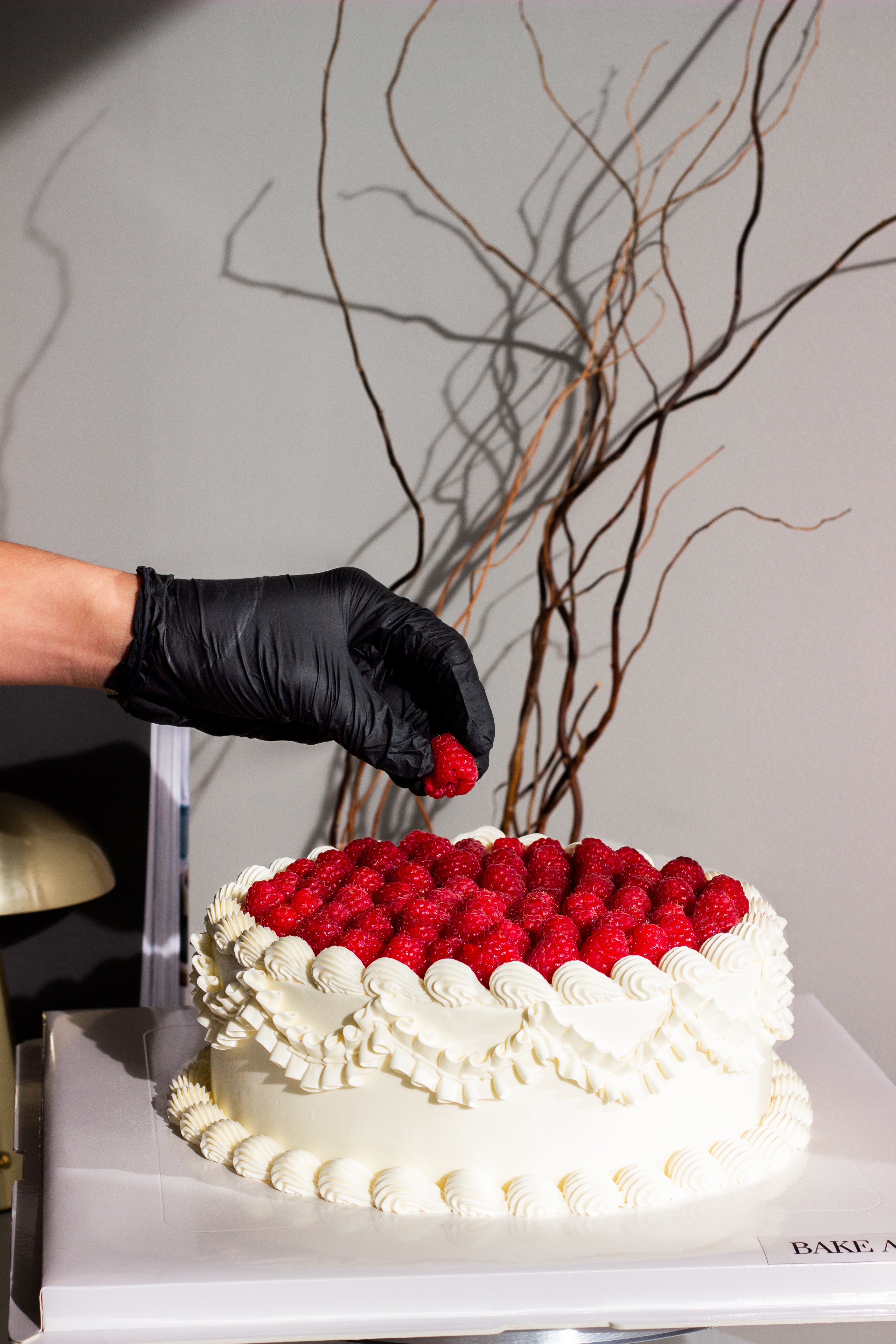 Italian Raspberry Cake