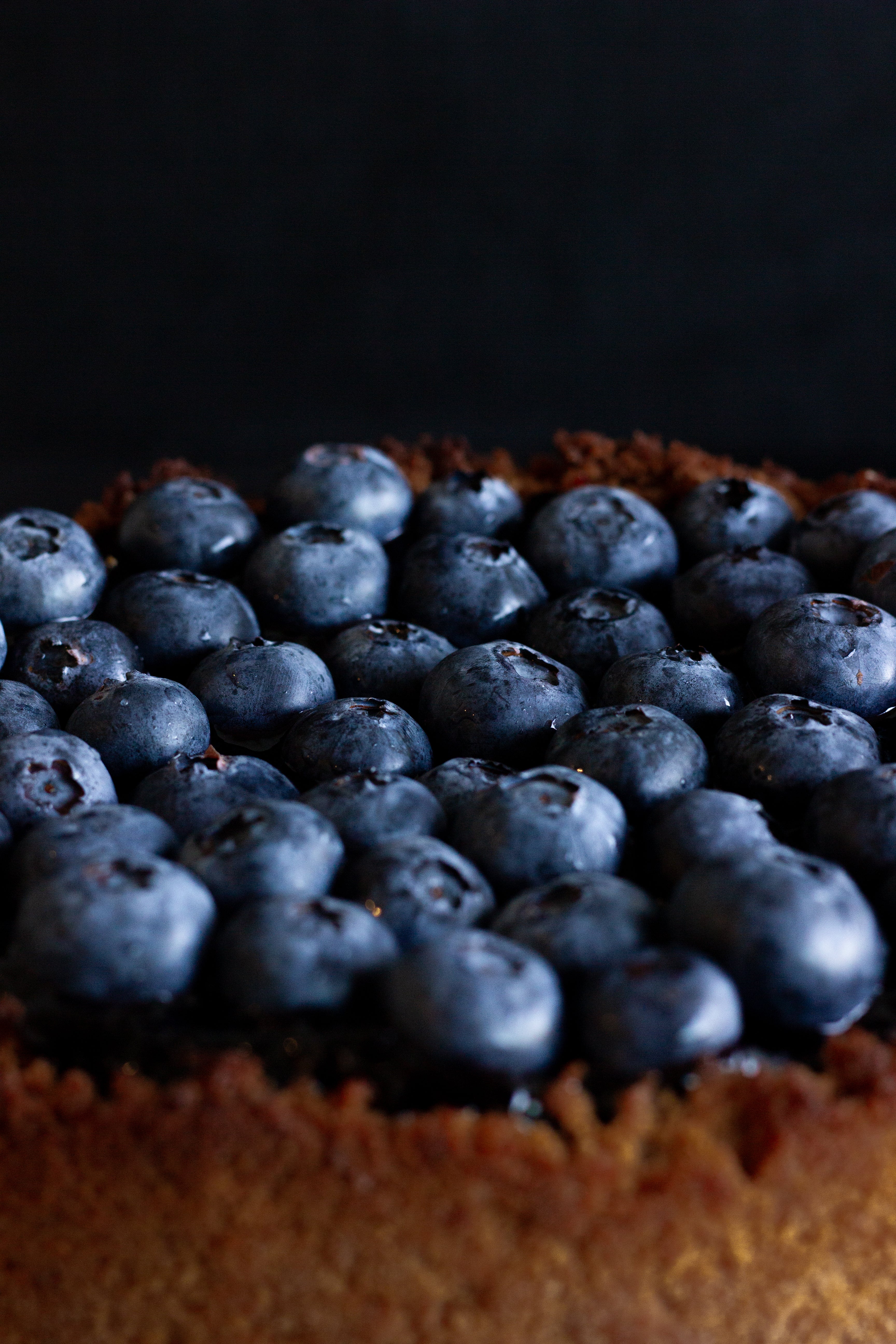 Blueberry Basque Cheesecake